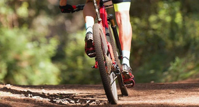 4 Fantastic MTB Cycles that Offer a Thrilling Experience and an Adrenaline Rush